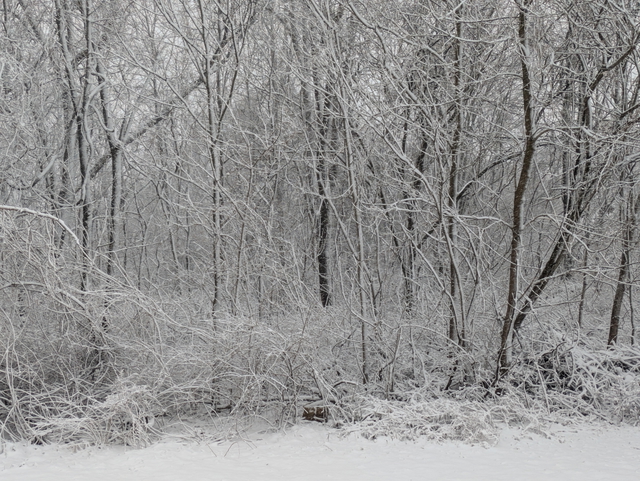 2025-02 - IRL: PXL_20250216_135741451.jpg