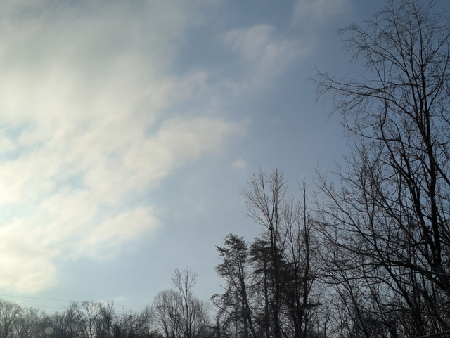 2025-02 - IRL: PXL_20250220_133549684.jpg