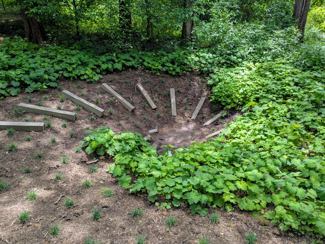 2025-05 - IRL: PXL_20250518_181547957~2.jpg