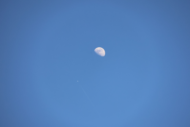 2026-04 - IRL: IMG_0050.png
